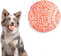 Bouncy Fetch Ball Set for Dogs product image